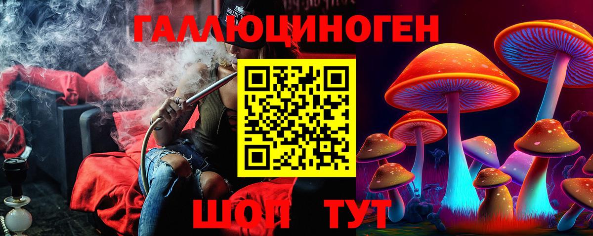 Псилоцибиновые грибы Cubensis  Вход с VPN  Выкса 